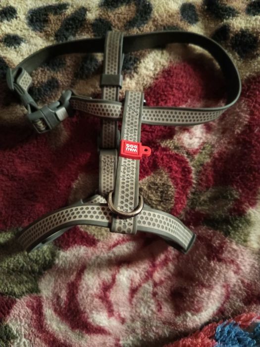 Собачий речи для шинят