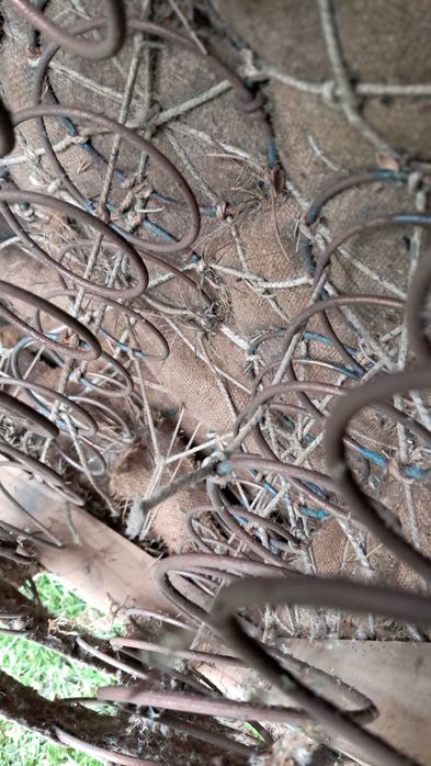 2 fotele tapicerowane Art Deco