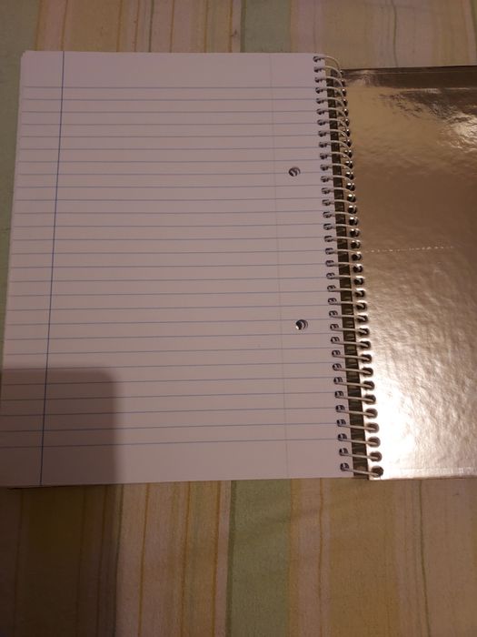 Caderno A5 prateado