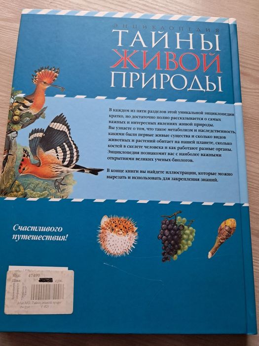 Тайны живой природы. Энциклопедия для детей