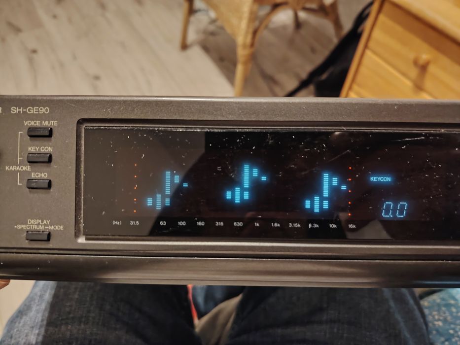 Technics sh-ge90  Equalizer