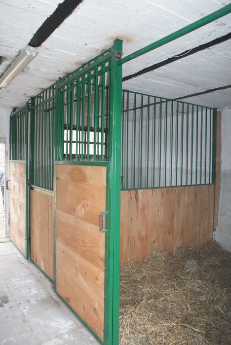 Pensjonat  dla koni blisko Warszawy