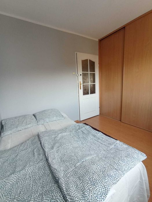 Apartment in Zielona Góra, Osiedle Winnica, Stare Miasto - View 2