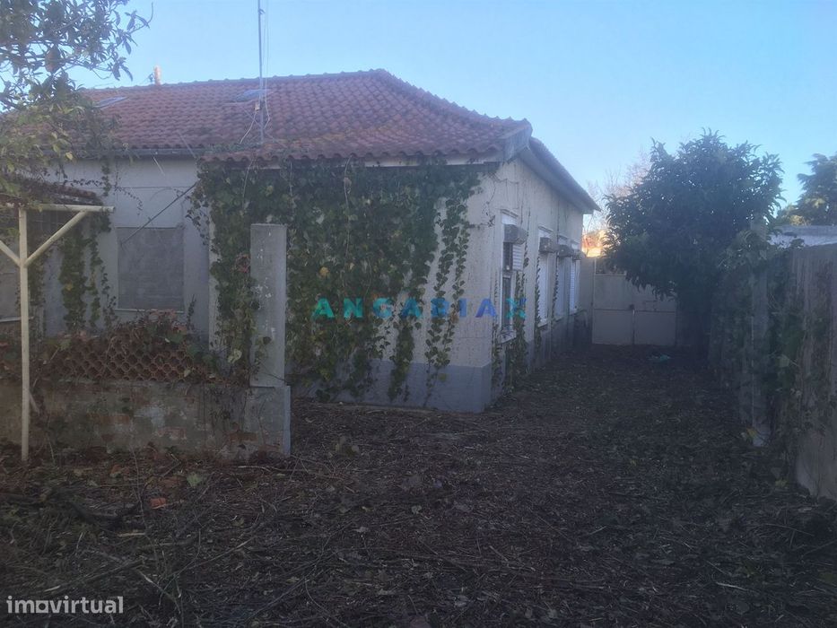 ANG354 - Terreno com projeto aprovado e Moradia T3 para Venda em Marin