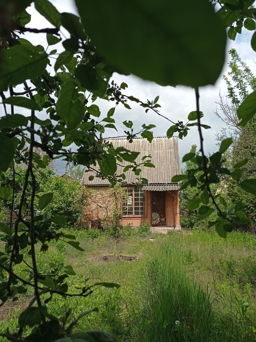 Продається дача в Рибачем