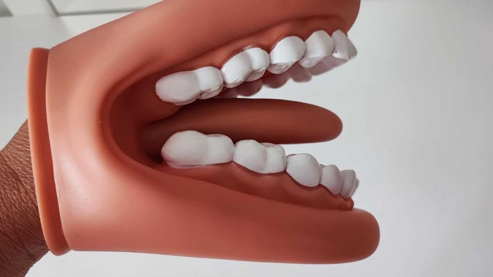 Model jamy ustnej pacynka logopedyczna