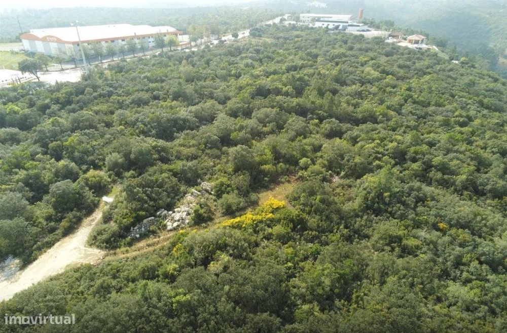 Terreno Rústico na preferia da fantástica Cidade de Fátima