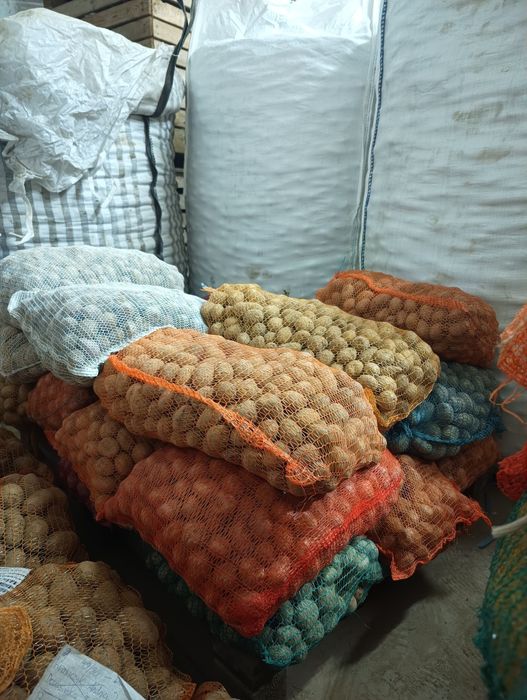 Ziemniaki paszowe TRANSPORT