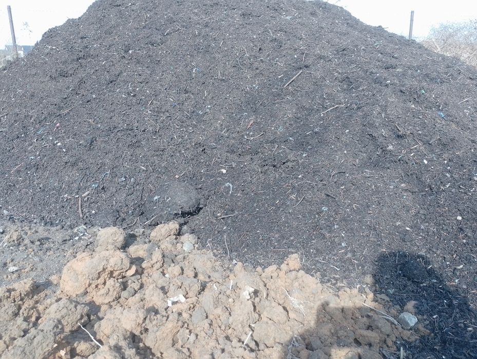 Kompost do warzywniaka