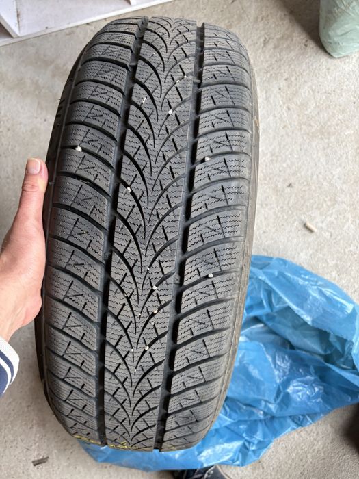 Opony zimowe Triangle WinterX TW401 205/55R19 97 V