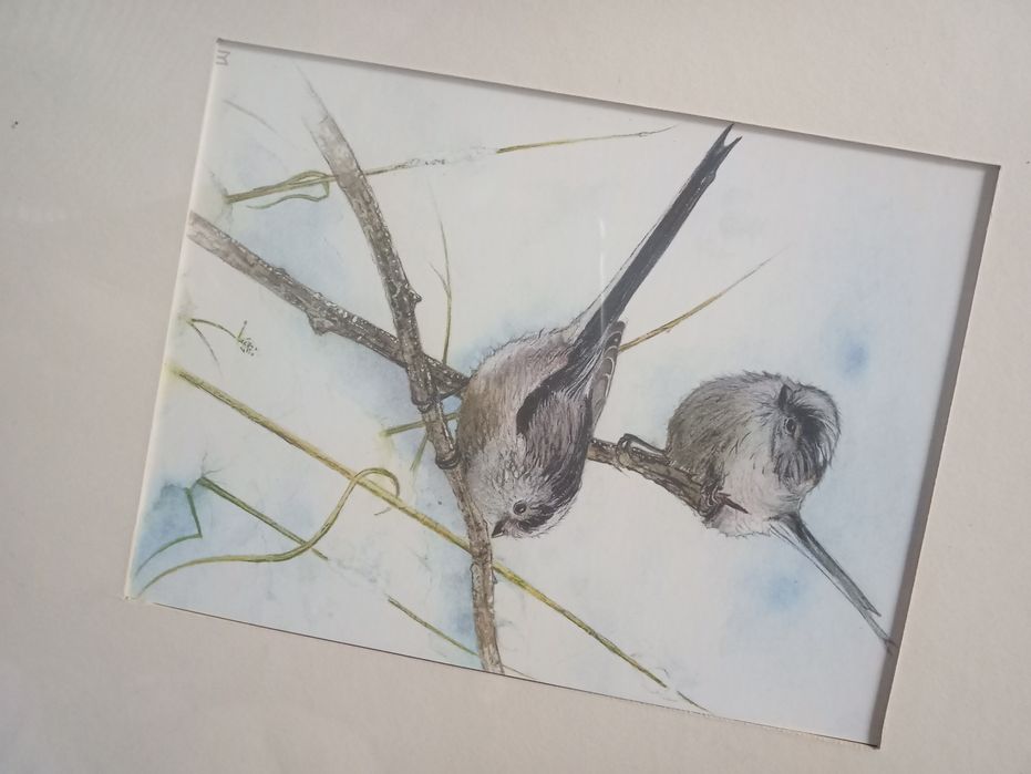 Obraz ptaki rustykalny oprawiony