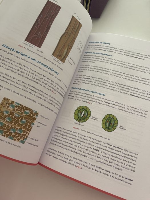 Livro de exame Biologia e geologia