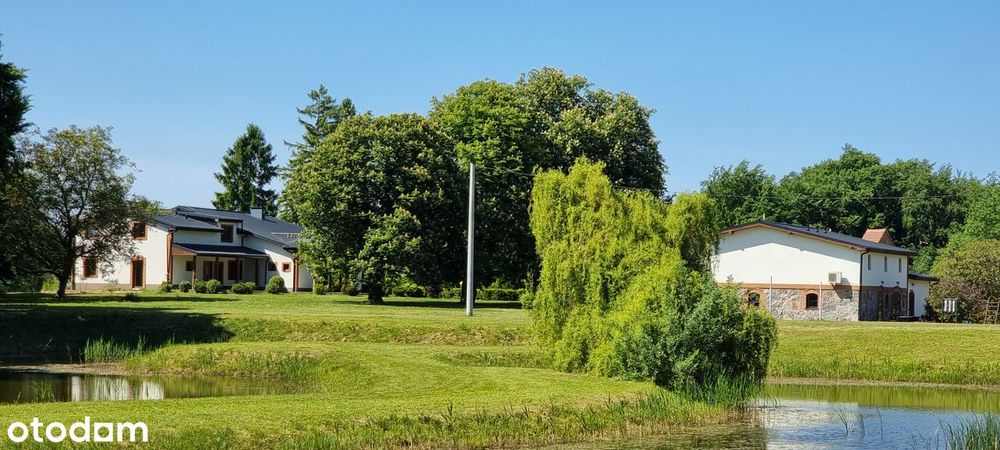 Dom/Budynek gospodarczy/ Staw/Dz 1,64 h Gniewino/Dębki/Białogóra/Morze – pohled 6