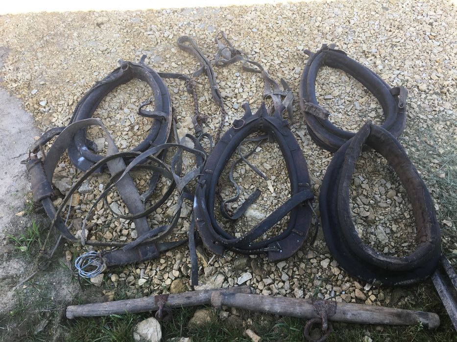 Chomąta oraz inne akcesoria