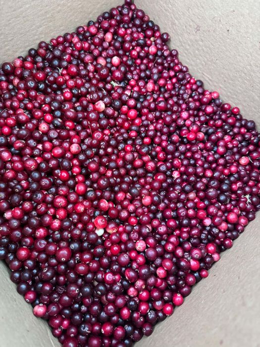 3 kg żurawiny 1kg-35zł