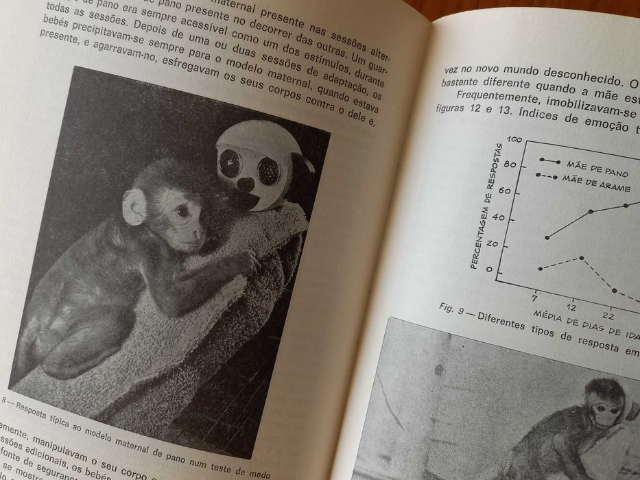 (PORTES GRÁTIS) Autores Vários: As Ligações Infantis (Psicologia)