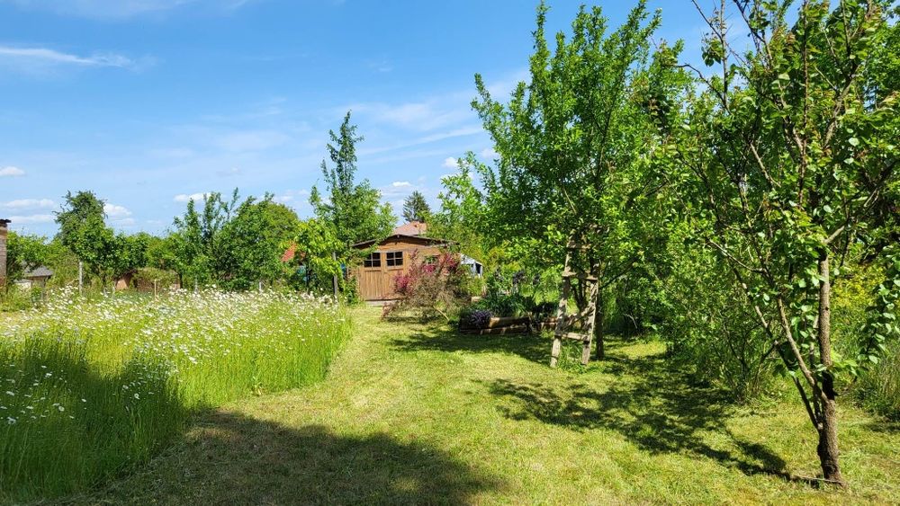 Działka ROD Panorama