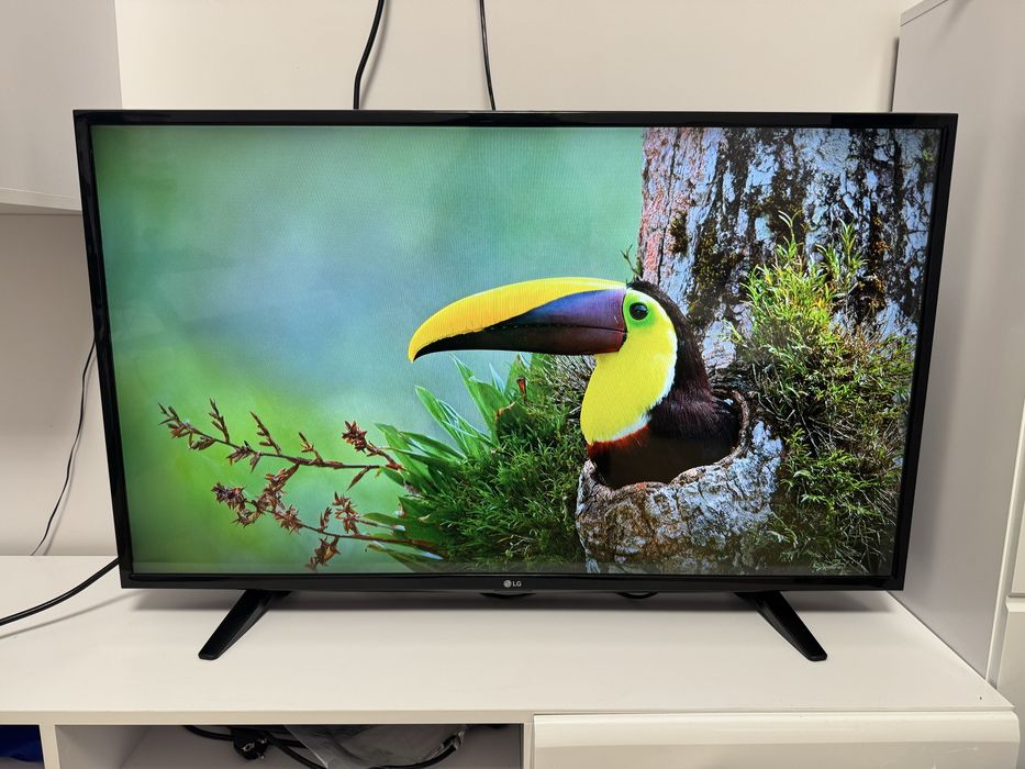 Телевізор LG 43LF510V