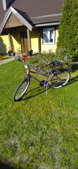 Rower Roadmaster ALL TERRAIN USA