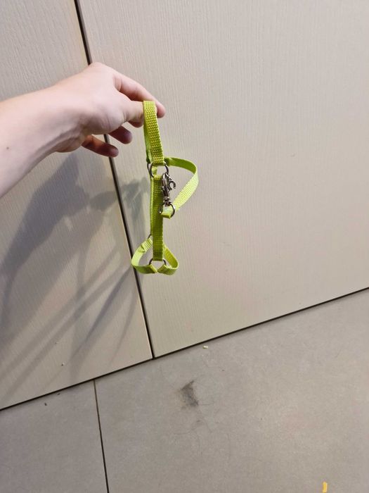 kantarek dla hobby horse a4 z mini podkową