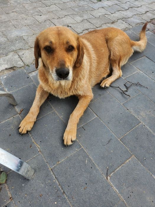 Nora szuka dalej swojej miłości.