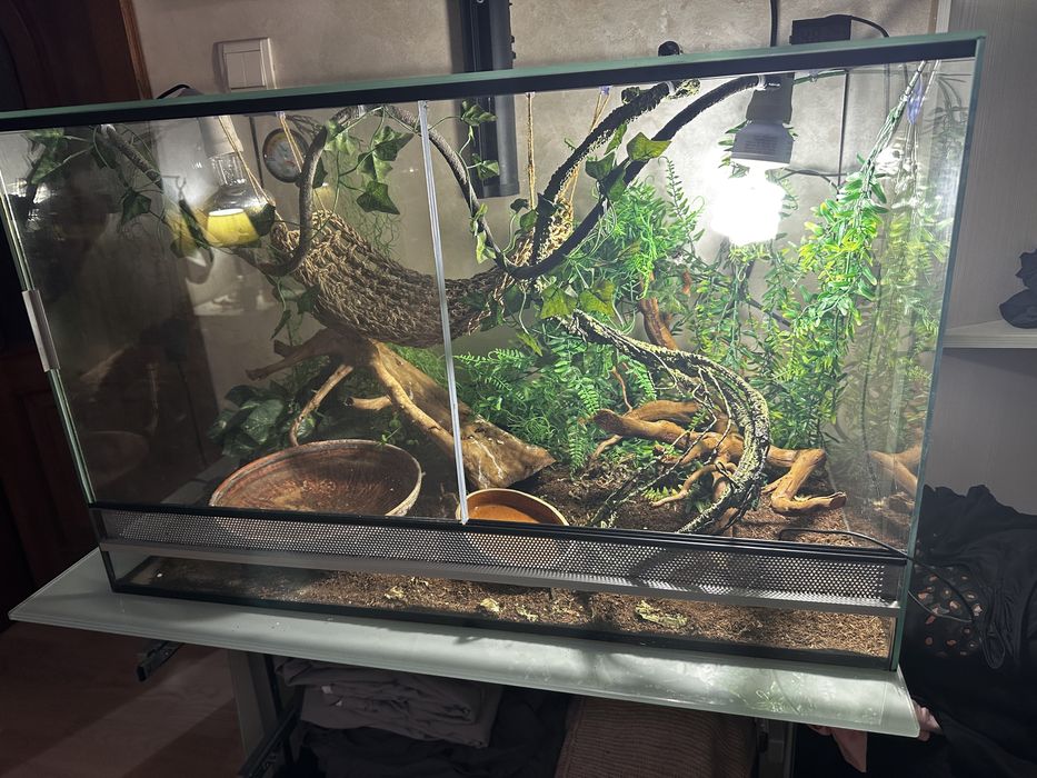 Великий тераріум ТЕРМІНОВО