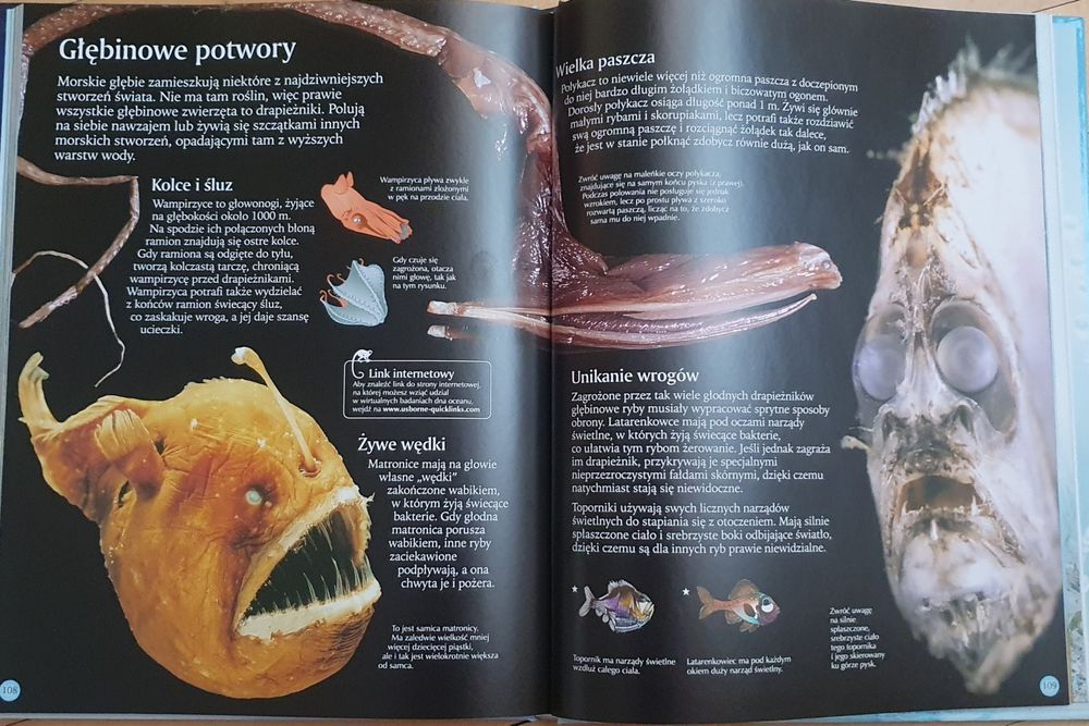 Zwierzęta świata. Davidson i Unwin.