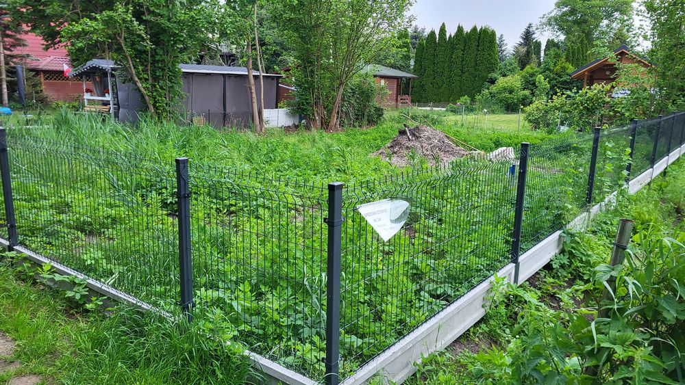 Działka ROD Warszawa Targówek - Widok 4