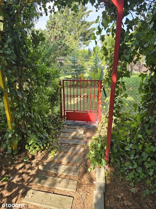 ROD Łączka Zajączka - działka 460 m² - prawa do użytkowania - Widok 6