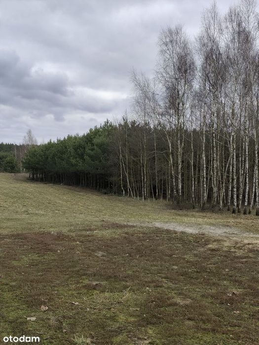 Wyjątkowa Działka Rekreacyjna Z Domem Z Bali – Serce Kurpi!