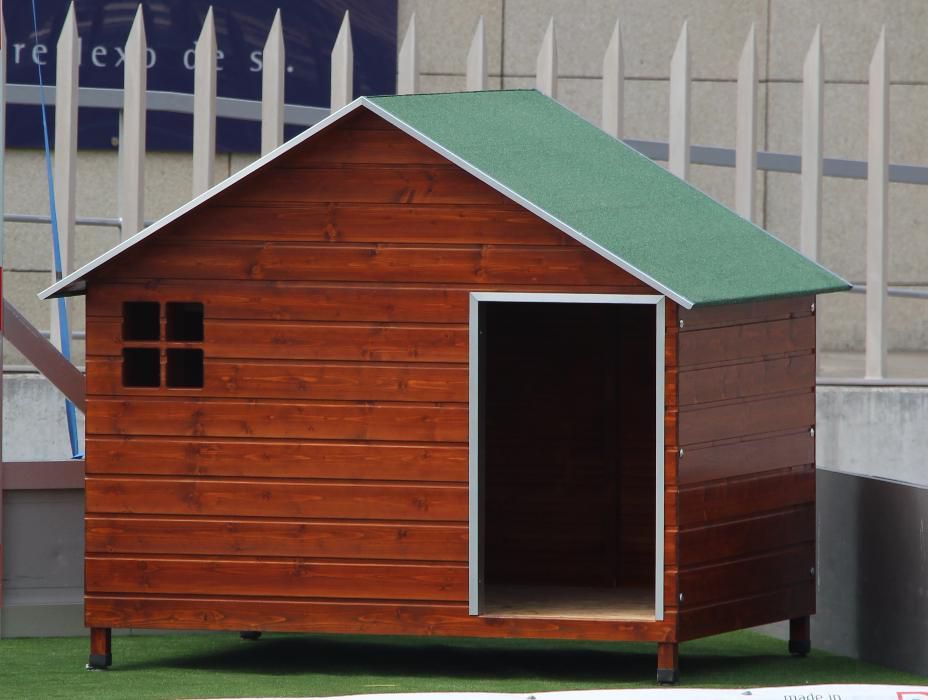 Casotas&Companhia! - Casota em Madeira Mod. Zeus XXL Lite
