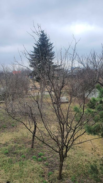 Продажа участка 5 км Холодная Гора Песочин Мобиль  центре