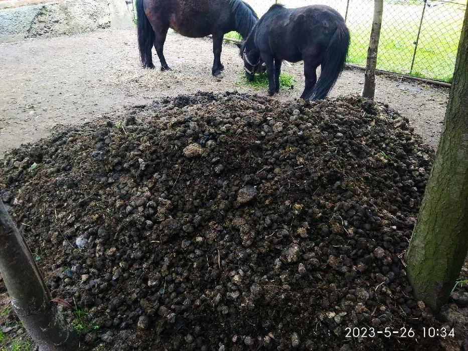 Obornik spod kucy