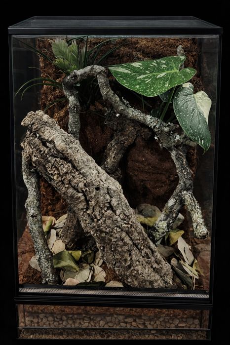 Nowe terrarium dla gekona orzęsionego gargulcowego na wymiar