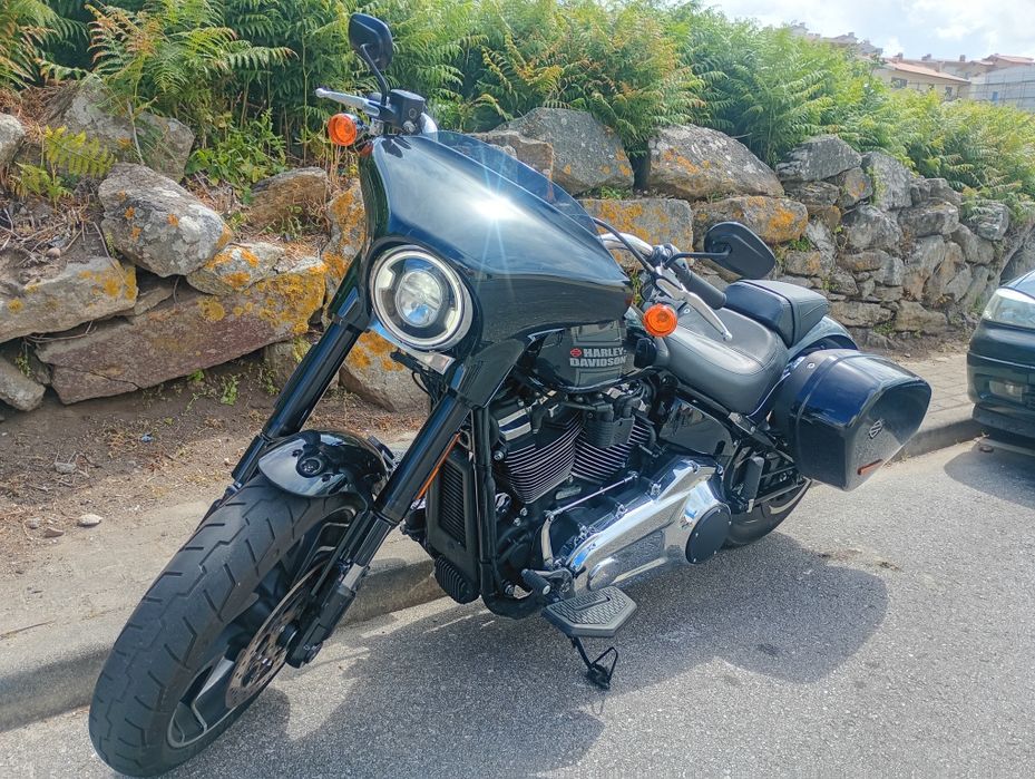 Harley Davidson softail