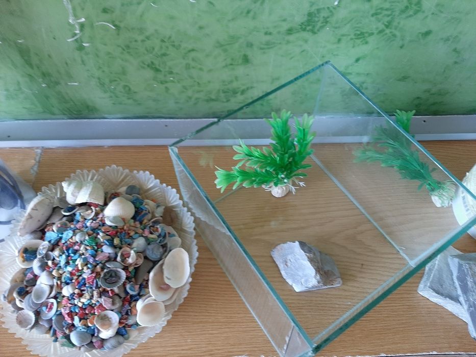 Акваріум  і аксесуари