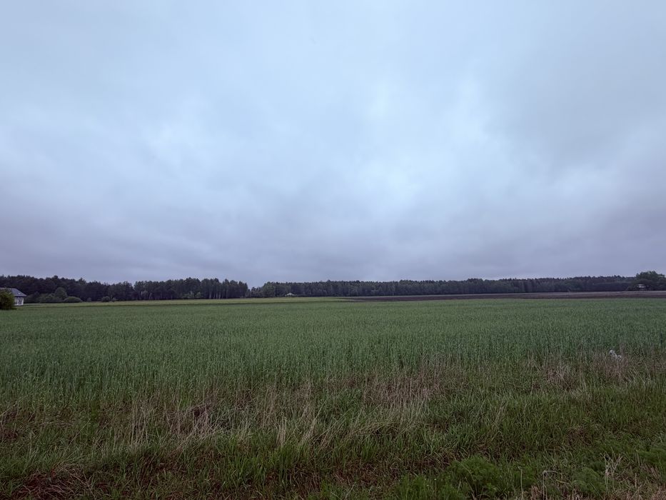 Sprzedam Pilnie dzialki budowlane z Warunkami zabudowy - Widok 4