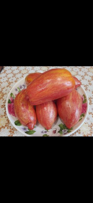 Насіння помідорів сливок, перцевидних сортів. Насіння перців, баклажан