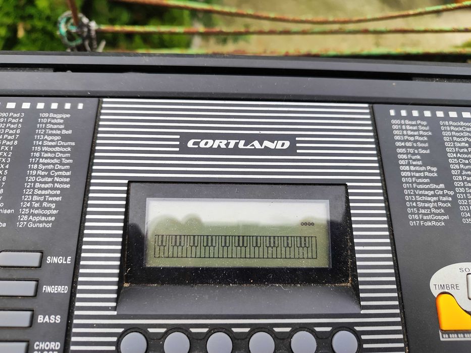 Синтезатор  Cortland