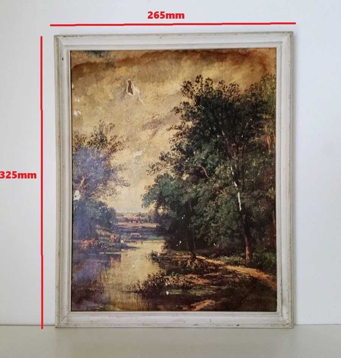 Quadro século XX com ilustração antiga de natureza