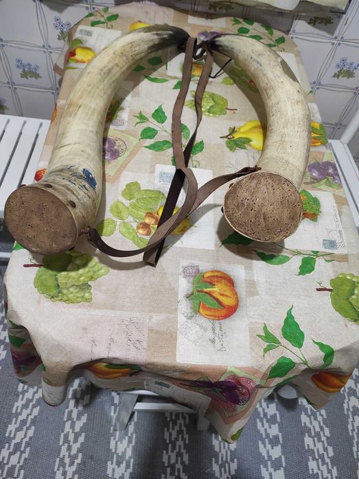 CORNO para guardar água cada 72€ Comprimento 80 cm