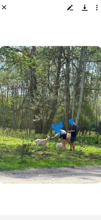 Działka na sprzedaż bez pośrednika koło Warszawy - View 6