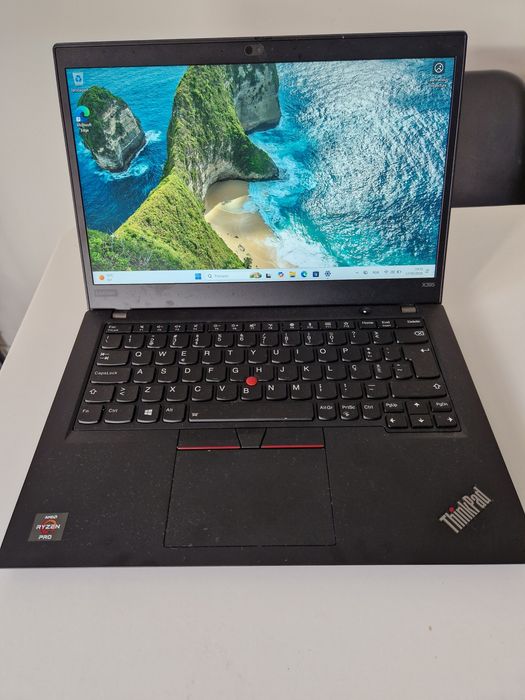 Portátil Lenovo X395