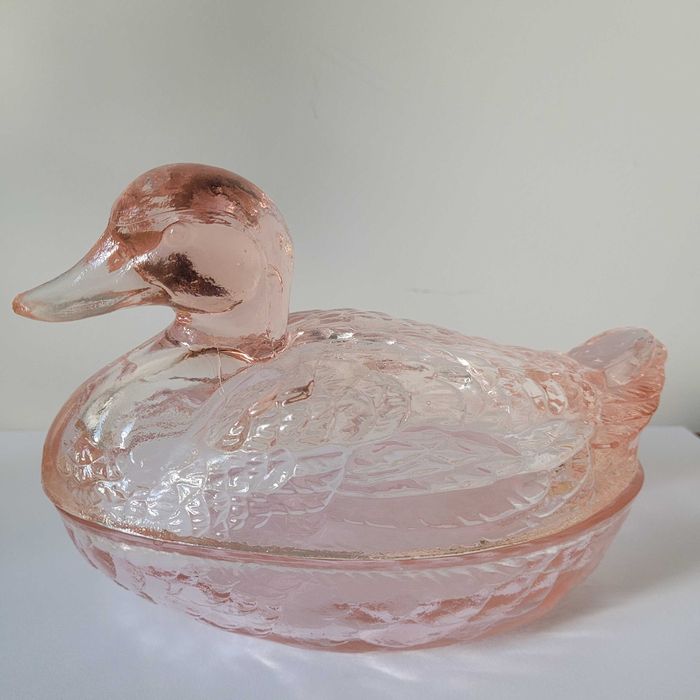 Kaczka Ząbkowice Śląskie