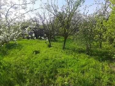 Продаж дачі Сілець