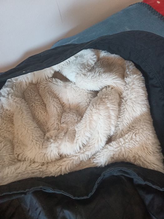 Kurtka Cropp i druga Gratis