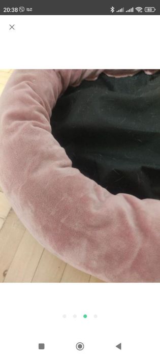 Место для собачки красивое