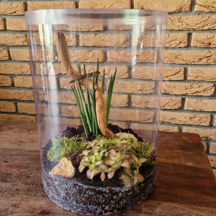 Terrarium z wentylacją - tuba 21x35cm - dla modliszek, pająków - duża