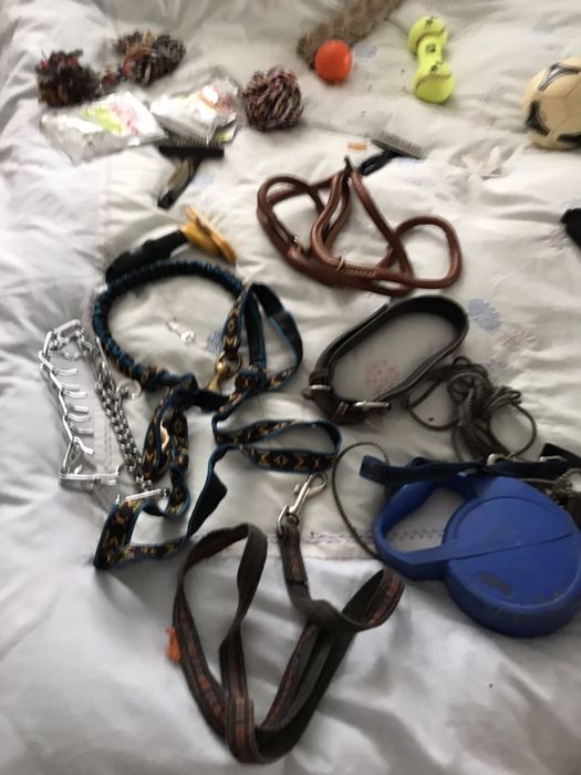 поводки для собаки