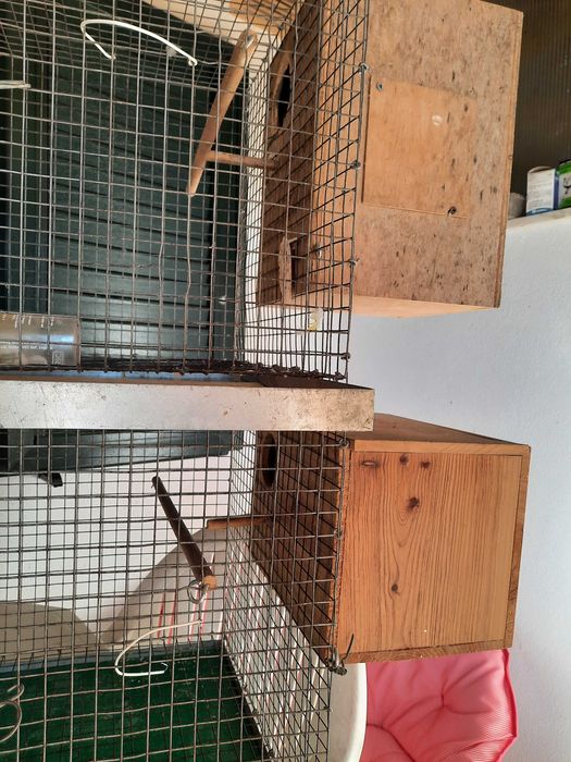 Vendo gaiolas para pássaros